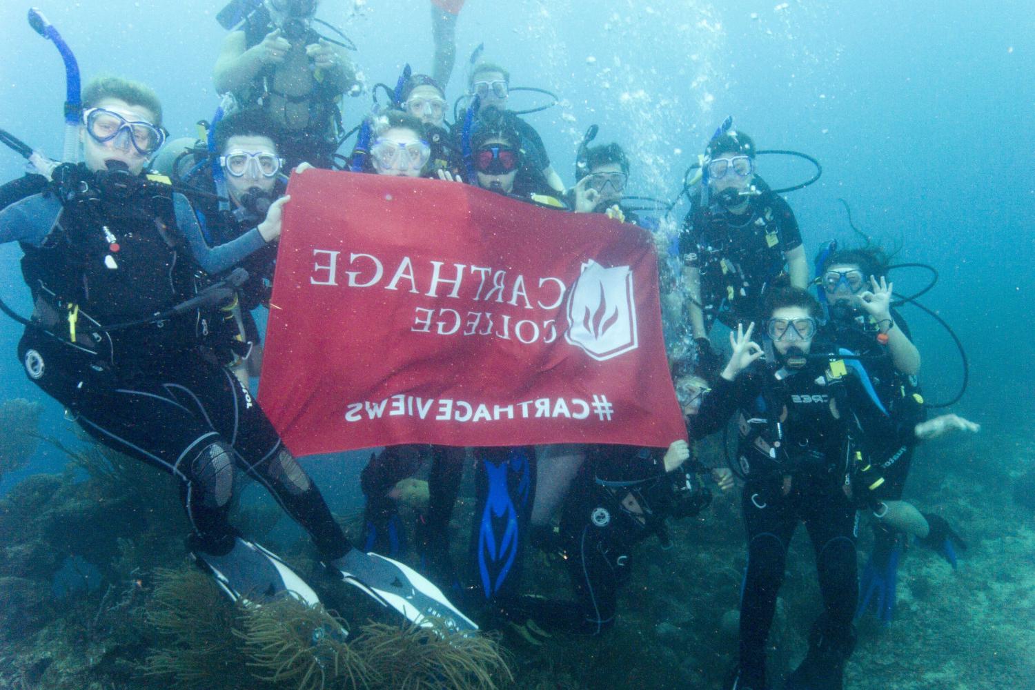 学生们手持<a href='http://qmvx9xj.tcloancar.com'>bv伟德ios下载</a>旗帜，在j学期洪都拉斯游学之旅中潜水.